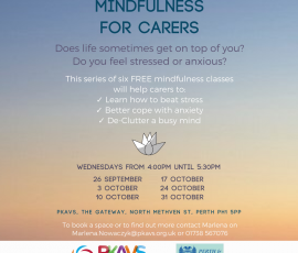6 FREE Mindfulness Classes for Carers