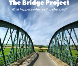 The Bridge Project